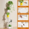 thumbnail image 6 of 5 Tier  Stand Indoor,  Shelf for Multiple , Flower Pot Holder Shelf, Planter Display Rack for Patio Garden Balcony  Room  Decor, White, 6 of 7