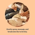 thumbnail image 4 of Spray desodorizante para perros MRS. MEYER'S CLEAN DAY White Peach 240 ml, 4 of 9