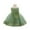 Light Green, variant on Flowers Girls Tulle Lace Dress for Kids Wedding Bridesmaid Pageant Birthday Party Communion Formal Princess Prom Maxi Gown