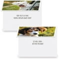 thumbnail image 6 of Current Furry Pets Get Well Greeting Cards - Set of 8, Large 5" x 7", 6 of 7