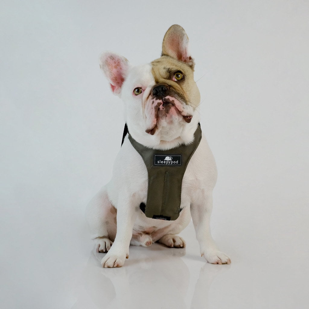 Clickit Sport Plus — Crash-Tested and Safety Certified Car Seat Belt Harness for Dogs — Large, Olive Green