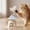 Blue_Base#588, variant on Rotating Cat Dog Interactive Ice Shaver Toy | 360° Motion Pet Teaser with Bell & Feather, Snack Leak Puzzle, Durable Plastic, Blue/Yellow/Green, 5.6x5.3in | Home Pet Entertainment