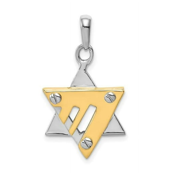 Finest Gold 14K Two-tone Star of David Pendant