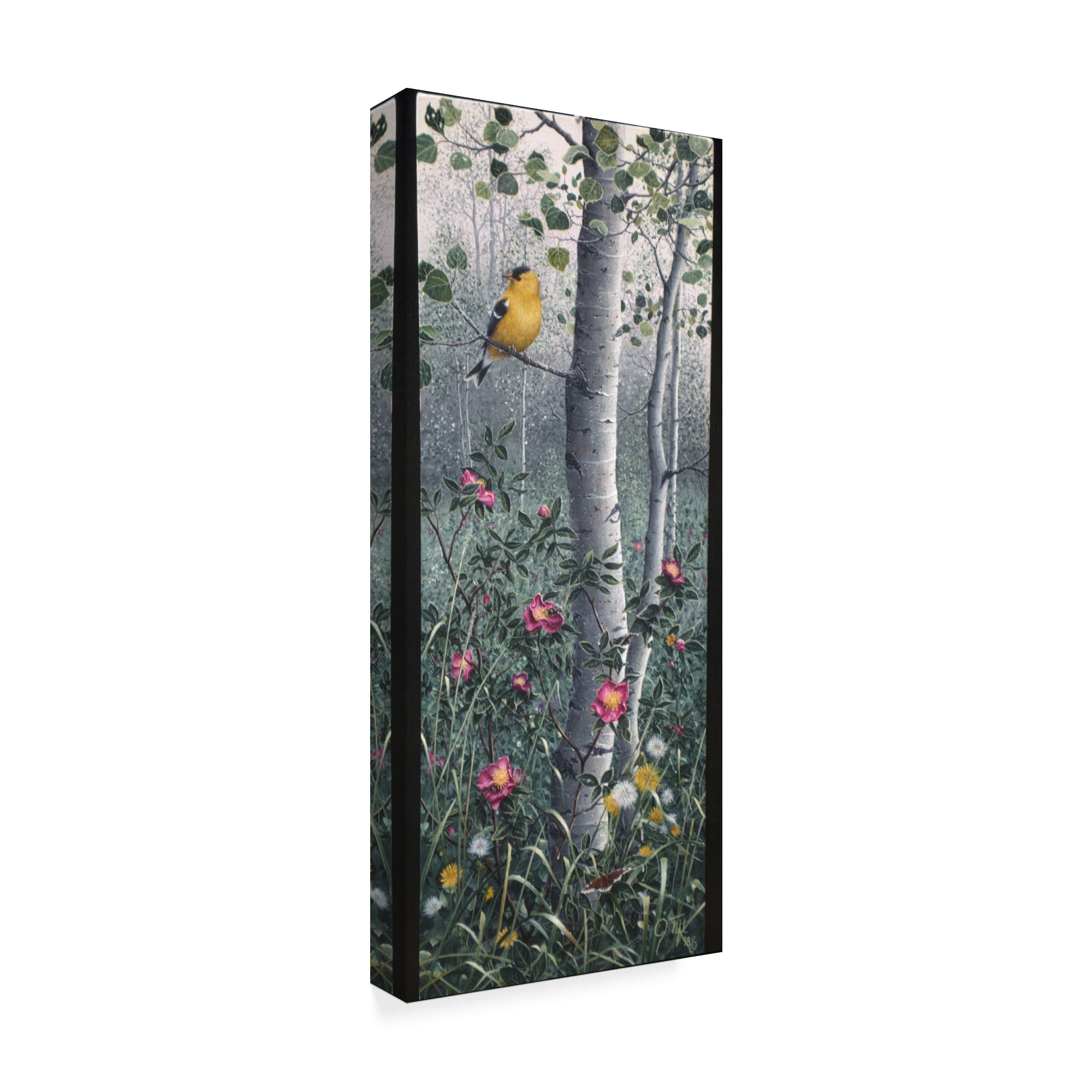 Trademark Fine Art 'Shades Of Summer' Canvas Art by Jeff Tift