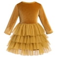 thumbnail image 4 of FYMNSI Velvet Christmas Dress for Girls Toddler Fall Winter Layered Tiered Tulle Dresses Vintage Party Midi Gown 3-4 Years Champagne, 4 of 7