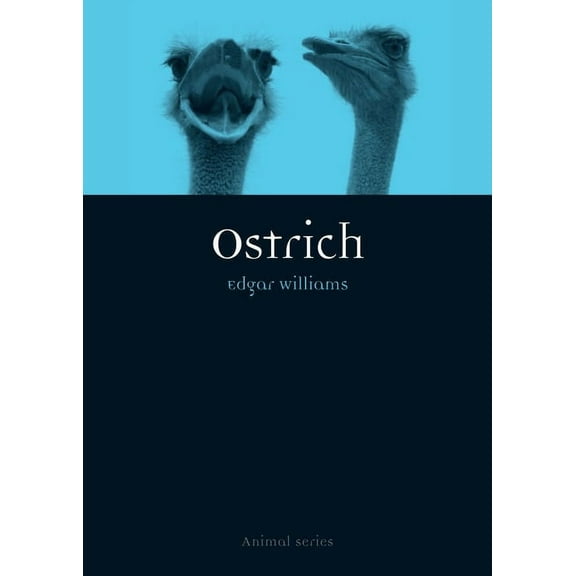 Animal: Ostrich (Paperback)