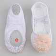 thumbnail image 3 of Zapatos De Baile Zapatillas De Ballet Zapatillas De Gimnasia Goma Hija A Practicar Para Niñas Chicas Zulema  Zapatos, 3 of 8