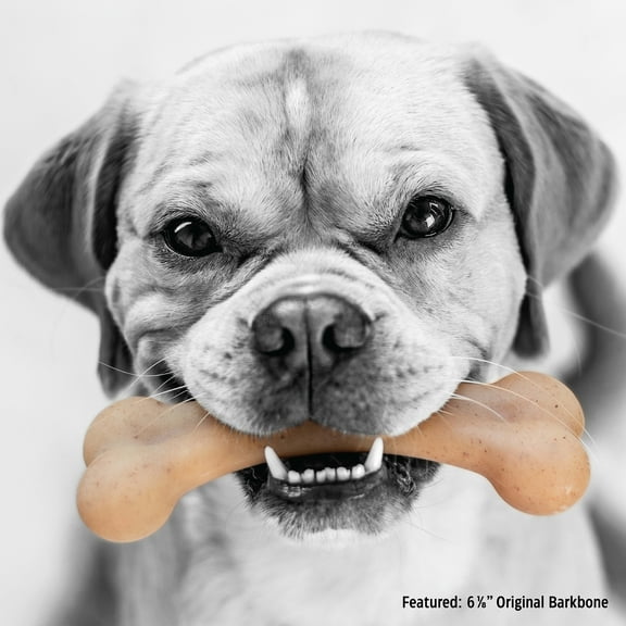 Pet Qwerks BarkBone Natural Instincts Original Nylon Dog Chew, BBQ-Infused, Medium 6.5", Aggressive Tough Chewers