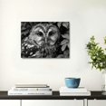 thumbnail image 2 of Acheng Black and White Owl Canvas Wall Art Bird Decor Forest Wise Man Pictures on Canvas Wall Art for Home Office Decorations Living Room Bedroom and Kitchen Decor Framed Canvas Prints 16x12inch, 2 of 6