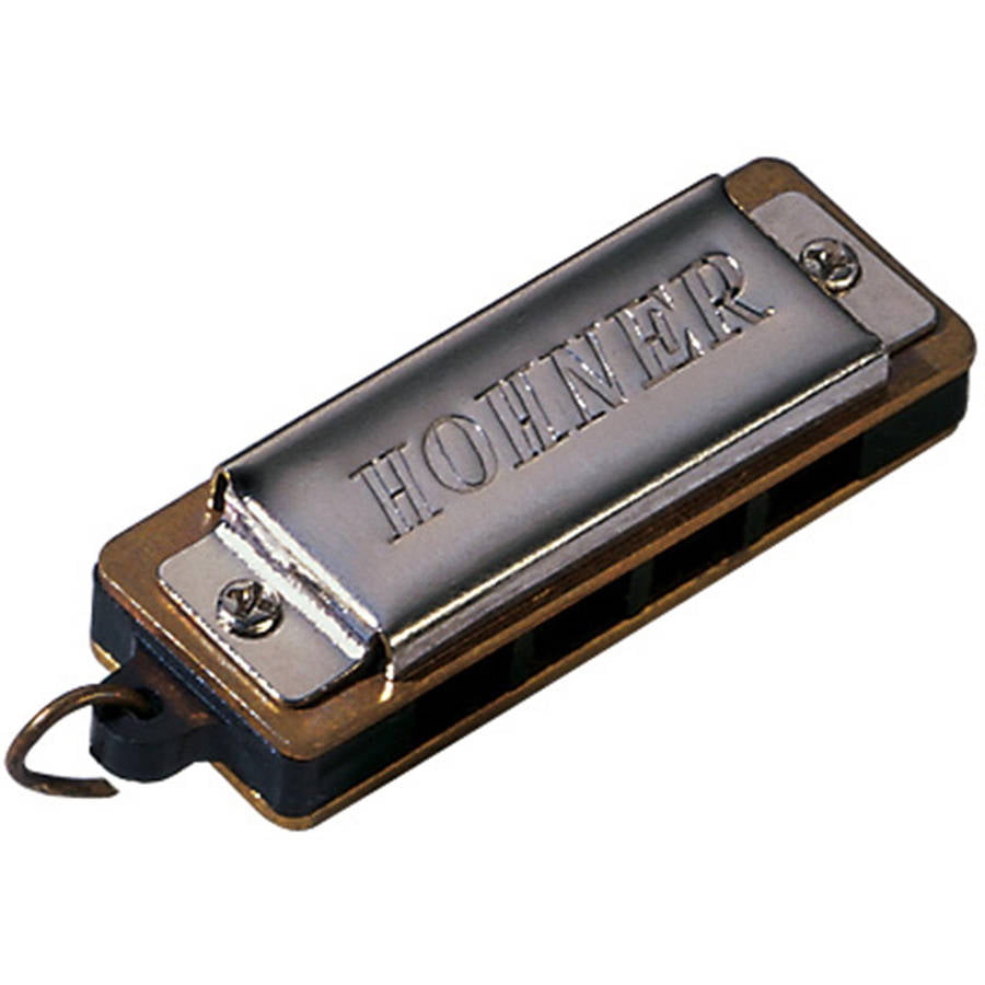 HARMONICA WD02 DD MUSICAL INSTRUMENT MOUTH ORGAN ADULT CHILDRENS FUN TOY 