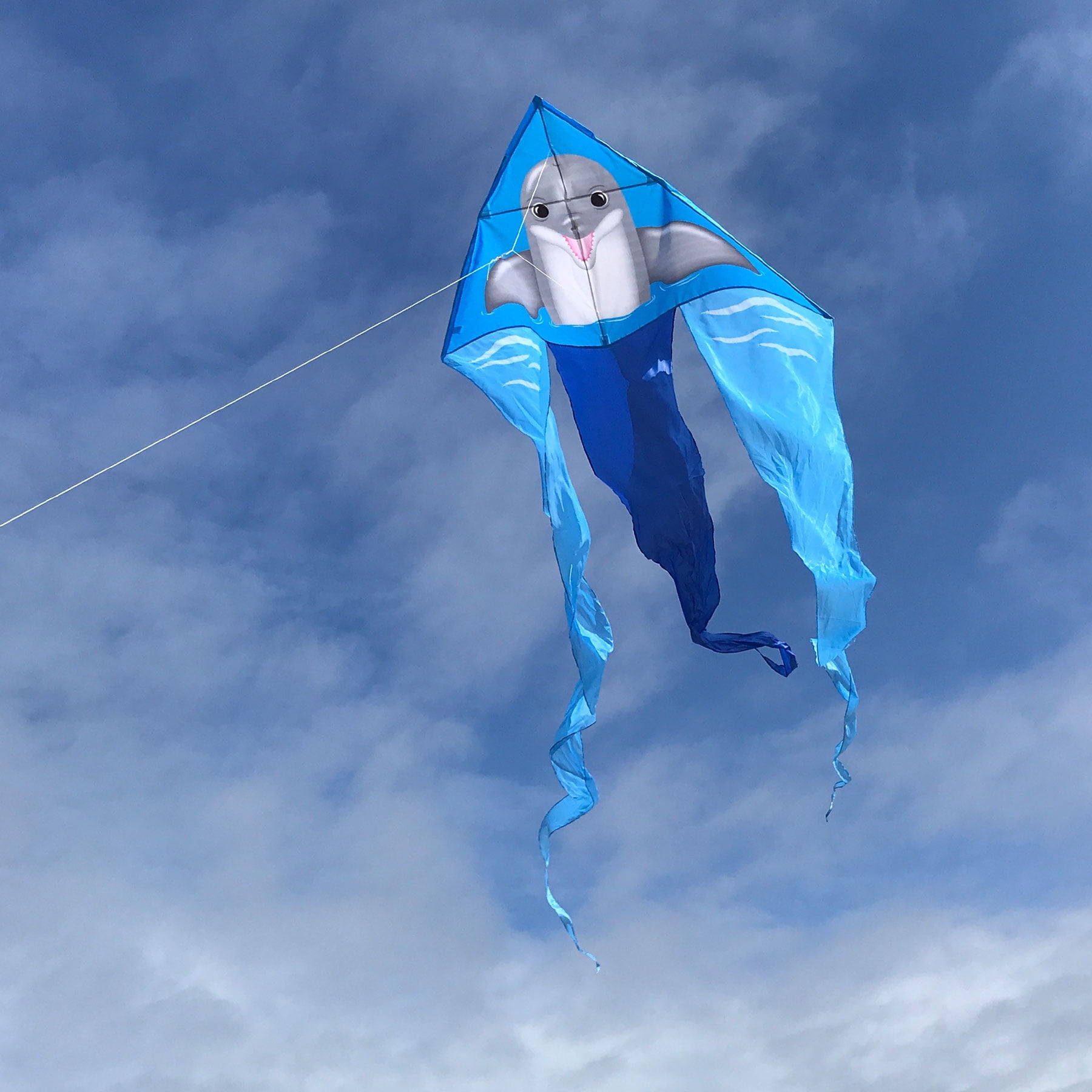 In the Breeze 3280 — 52-inch Dolphin Wave Delta Kite — Fun and Easy Flyer — Combination of Ripstop and Taffeta Fabric