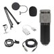 thumbnail image 4 of BM800 condenser microphone set computer recording anti-pop round net standard gold, 4 of 4
