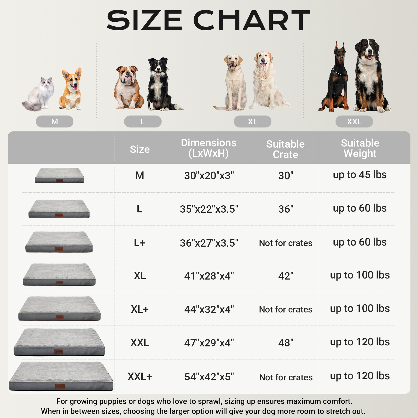 Ophanie Orthopedic Dog Bed for Large Dogs, 35"x22", Gray photo 2