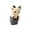 multicolor3, variant on Novelty Monkey Keychain Keyboard Clicker Button Keychain with Sound, Funny Stress Relief Sensory Desk Toys for Adults, Party Favor