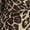 Leopard Print, variant on Sofia by Sofia Vergara Women's and Women's Plus Bias Cut Midi Dress with Short Sleeves, Mid Calf Length, Sizes XS-4X