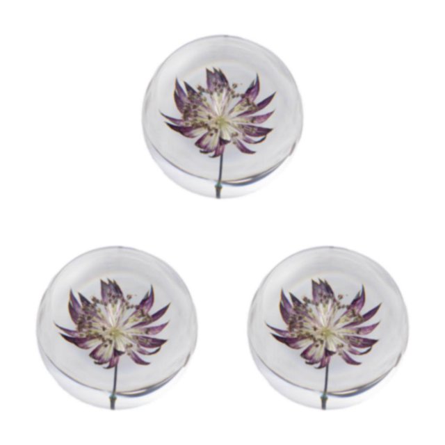 Baohd Exquisite Flower Crystal Ball Adding Elegance To Space Easily Portable Astrantia 8cm 3Set