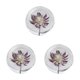 thumbnail image 4 of Bewildely Bola de cristal de flor de ensueño de resina, atmósfera mágica en cualquier lugar, regalo decorativo de bola de ensueño, Astrantia, Type1 NO1, 4 of 6