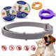 thumbnail image 2 of Collar ajustable de prevención de pulgas para perros y gatos, repelente de insectos antimosquitos, productos para mascotas, 8 meses LIUWENJING unisex, 2 of 2