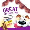 Purina Beggin' Strips Adult Jerky Dog Snacks Dog Treats, Bacon and Beef