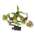 thumbnail image 1 of Planta de acuario Decoración Unique Bargains 1 Pcs Acuática Artificial 7.48' Verde, 1 of 8