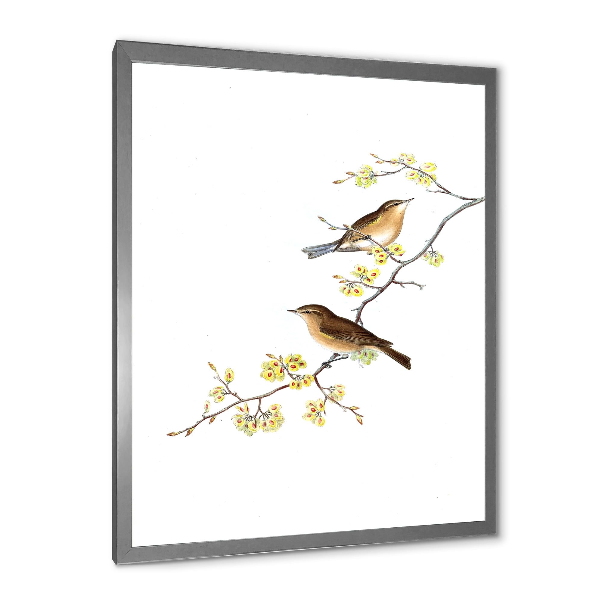 Designart 'Little Birds Sitting On The Tree Branches II' Traditional Framed Art Print
