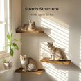 thumbnail image 3 of Floating Wall Shelves Set of 3 with Invisible Brackets, Rustic Brown Decor Shelves for Bathroom, Living Room, Bedroom, Kitchen Storage and Display, 3 of 14