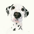 thumbnail image 2 of Ducklow, Patsy 15x15 White Modern Wood Framed Museum Art Print Titled - Milo v2, 2 of 4