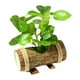 thumbnail image 2 of Plantas pequeñas en maceta, bonsái, vegetación artificial en maceta para granja. Estilo D, 2 of 7