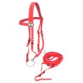 thumbnail image 2 of Bride de Cheval, Harnais de Cheval Imperméable à l'Eau de Durabilité, Cheval Matériel de Pvc pour Votre Cheval, 2 of 8