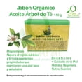 thumbnail image 3 of ÁRBOL DE TÉ REVIVE 500 PACK VIVONATURAL SHAMPOO ACEITE DE ÁRBOL DE TÉ 500 ML Y JABÓN ORGÁNICO DE ACEITE DE ÁRBOL DE TÉ DE 110 g, 3 of 6