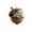 D-4D Home Decor, variant on karymi Forest Decorations 4in Handcrafted Ornaments with Woodland Creatures in Mushroom Houses for Christmas Tree and Year-Round Decor Christmas Decorations Indoor Living Room Decor
