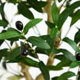 thumbnail image 3 of Nearly Natural 4ft. Artificial Olive Tree, 3 of 7