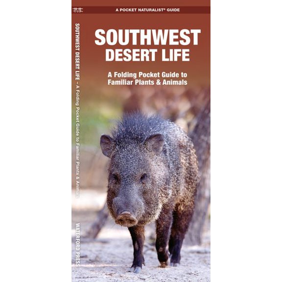 Pre-Owned Regional Nature Guides: Southwestern Desert Life: A Folding Pocket Guide to Familiar Plants & Animals (Paperback)