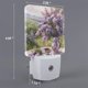 thumbnail image 2 of Balery Lilacs Teapot Scenic Painting Luz Nocturna LED con Sensor Automático, Enchufe con Sensor Crepuscular, Luz Suave de 0.5W para Dormitorio, Pasillo, Baño-EU, 2 of 7