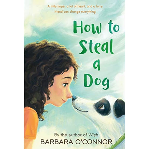 Pre-Owned How to Steal a Dog (Paperback) 0312561121 9780312561123