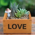 thumbnail image 2 of Fdit Wood Planter Box,2pcs Multifunctional Wooden Succulent Flower Plant Pot Storage Box Organizer,Wooden Planter, 2 of 7