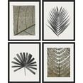 thumbnail image 3 of PixonSign Framed Duotone Tropical Forest Plant Leaf Wall Art, Set of 4 Collage Nature Garden Wall Decor Prints, Leaves Texture Shadow Wall Décor, Rustic Home Artwork - 11"x14" Black, 3 of 5