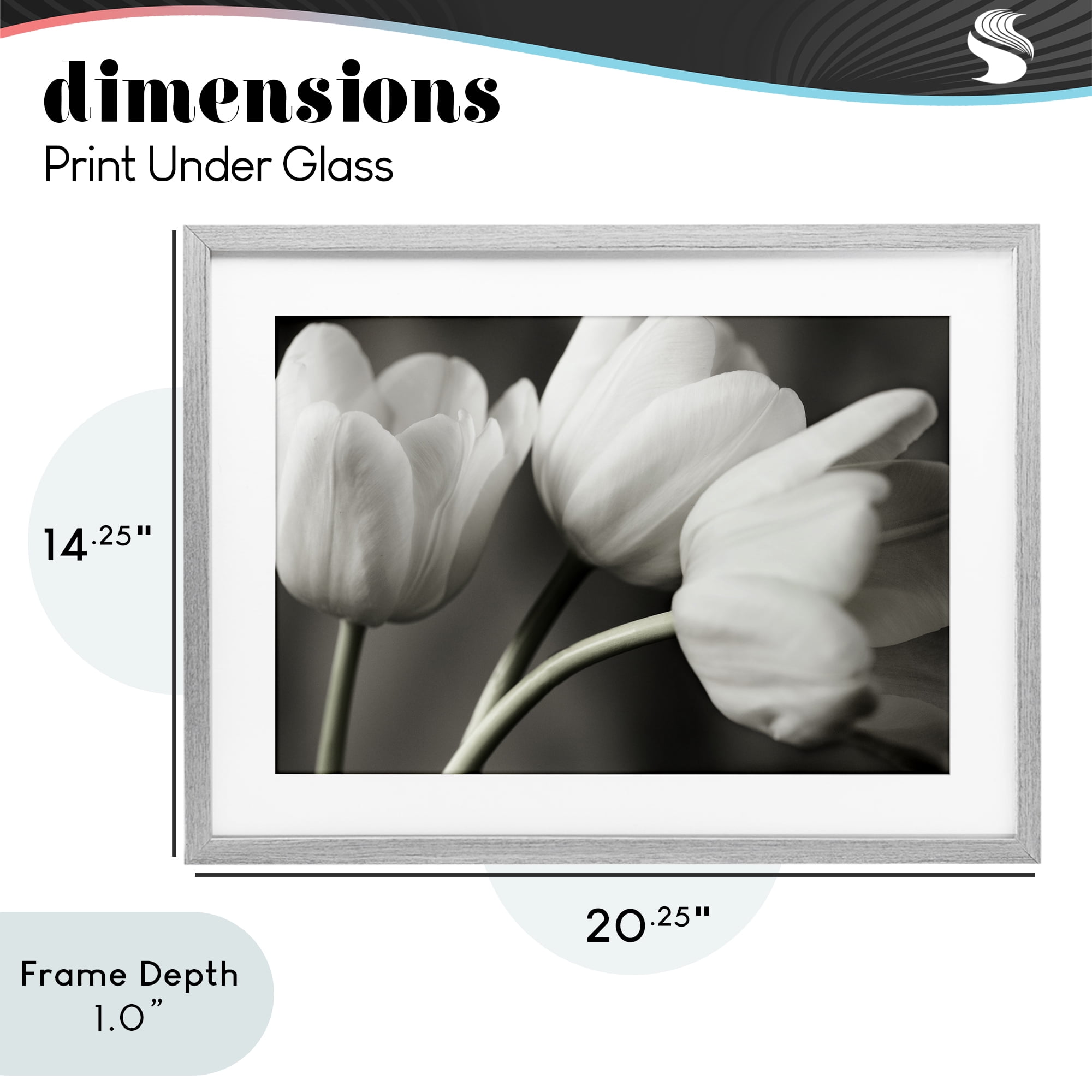 Stupell Industries Row Of Monochrome Tulips Gray Framed Print Under Glass, design by Tom Quartermaine