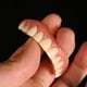 thumbnail image 5 of Dentaduras postizas de silicona para la parte superior e inferior, carillas dentales, pasta para dentaduras postizas, dientes falsos temporales, herramienta para blanquear los dientes, 5 of 5