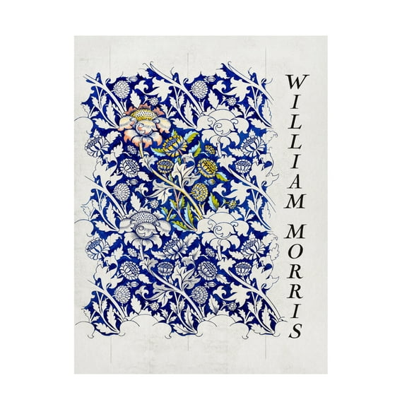 Trademark Fine Art Pictufy Wey Canvas Wall Art