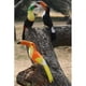 thumbnail image 5 of Pájaros de plumas artificiales Sunnimix Decoraciones para árboles Adornos, 5 of 5