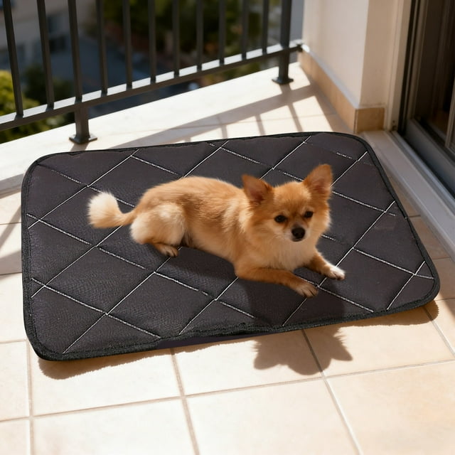 Hearth & Gear Orthopedic Bed Mat With Removable Washable Cover For And Cats Supportive Comfort Foam Pad For Joint And Calming Anxiety Dog Show Accessories Train Dogs Leash Dog Car Seat Accessories for