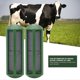 thumbnail image 4 of 2pcs Cow Magnets Strong Plastic Shell Magnets for Trap Iron Substance in Livestock Stomach(HL Q9 ), 4 of 4