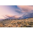 thumbnail image 2 of Jones, Adam 24x17 Gold Ornate Wood Framed with Double Matting Museum Art Print Titled - Mountain big sagebrush at sunrise-Lamar Valley-Yellowstone National Park-Wyoming, 2 of 4