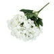 thumbnail image 1 of Home Decoraciones para la Sala de Estar,Ramo de Simulación Saltar Orquídea Flor de Seda Artificial,Largo Tallo para la Boda Jarrón de la Oficina de la Mesa Del Hogar,Flores Artificiales para la Decora, 1 of 3