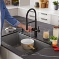 thumbnail image 6 of Blanco 442990 Catris Filter-Ready 1.5 GPM Single Hole Pre-Rinse Pull Down Kitchen Faucet -, 6 of 7