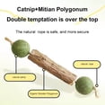 thumbnail image 4 of Double-Headed Catnip Sticks for Cats, 4.7 Inch Natural Wood Chew Toys for Kittens, Teeth Cleaning Toy, Interactive Indoor Play for Stress Relief 1Pack, 4 of 9