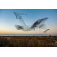 thumbnail image 2 of Vilches, David 32x23 Black Ornate Wood Framed with Double Matting Museum Art Print Titled - El Vuelo, 2 of 4