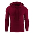 thumbnail image 1 of toraway Sweat à Capuche Graphique pour Hommes Hiver Mode Décontractée Sports Manches Longues Sweat à Capuche XXXXL, 1 of 2