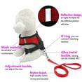 thumbnail image 3 of TOP Suministros Para Mascotas Arnés Collar Transpirable Correa Para Perros Chihuahua Pug Bulldog Tejido De Malla Gato Cómodo Chaleco De Cachorro Multicolor, 3 of 4